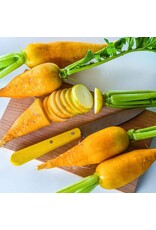 Baker Creek Seeds Lutea Carrot Radish