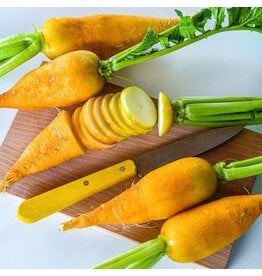 Baker Creek Seeds Lutea Carrot Radish