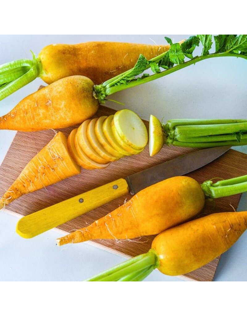 Baker Creek Seeds Lutea Carrot Radish