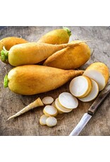 Baker Creek Seeds Lutea Carrot Radish