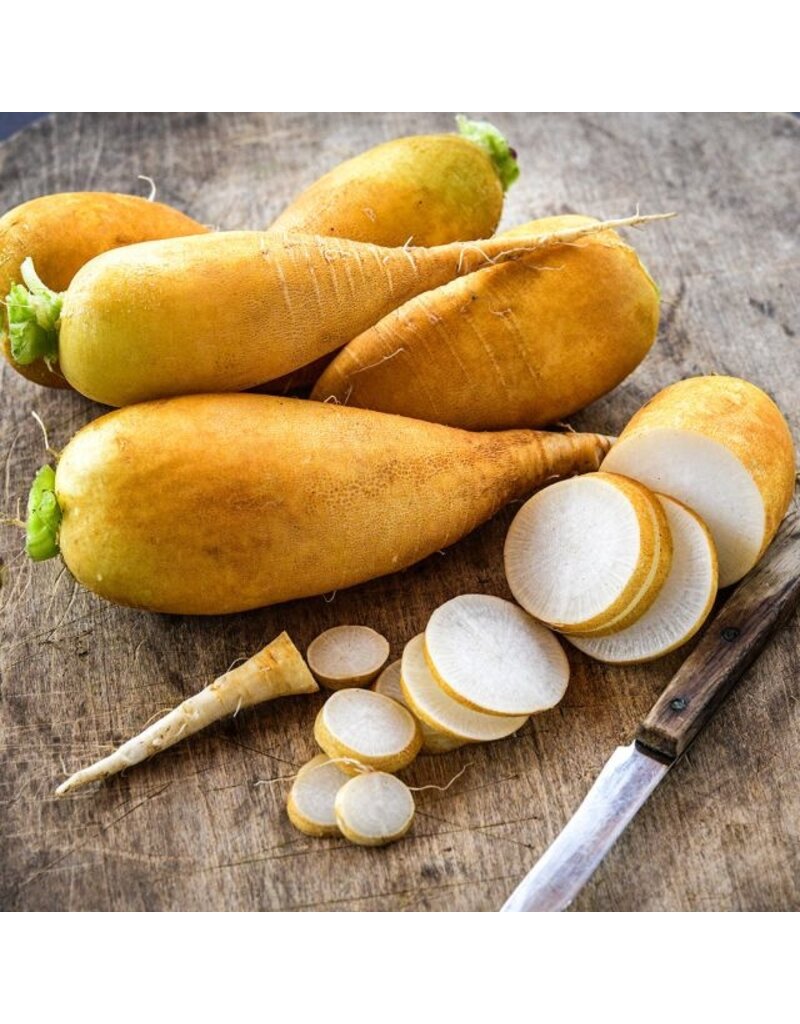 Baker Creek Seeds Lutea Carrot Radish