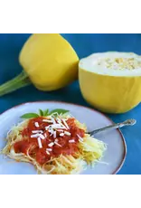 Baker Creek Seeds Warsaw Pasta Squash
