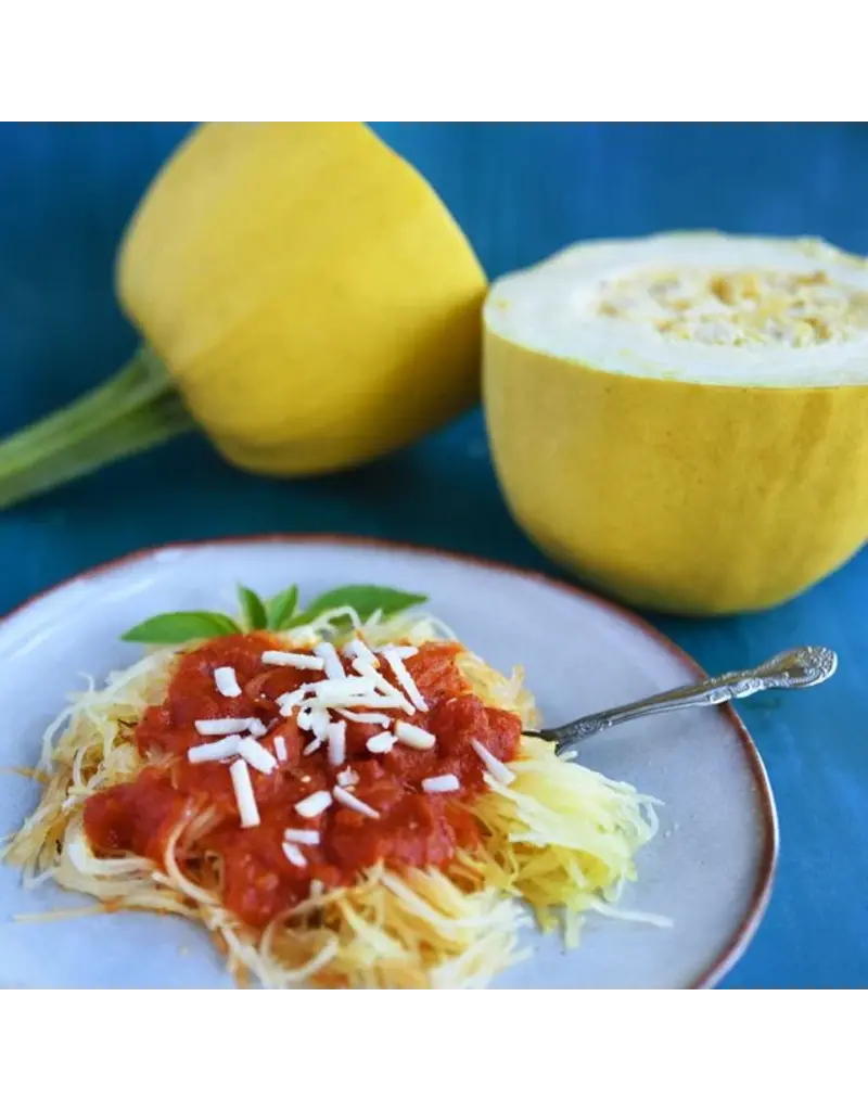 Baker Creek Seeds Warsaw Pasta Squash