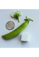 Baker Creek Seeds Sugar Bon Snap Peas