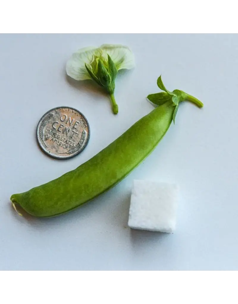 Baker Creek Seeds Sugar Bon Snap Peas