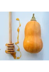 Baker Creek Seeds Winter Squash, Honeynut Butternut