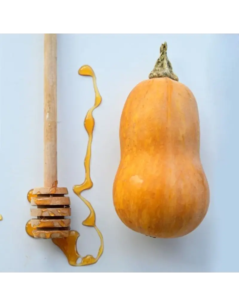 Baker Creek Seeds Winter Squash, Honeynut Butternut