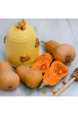 Baker Creek Seeds Winter Squash, Honeynut Butternut