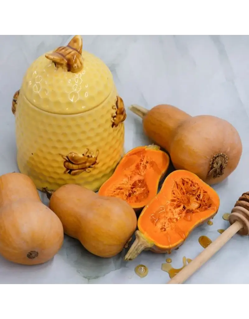 Baker Creek Seeds Winter Squash, Honeynut Butternut