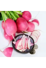 Baker Creek Seeds Radish, Pink Dawn (Jurtzenka)