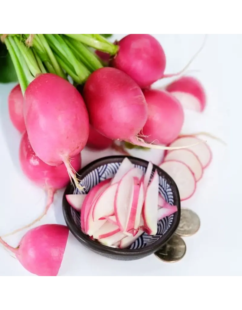 Baker Creek Seeds Radish, Pink Dawn (Jurtzenka)