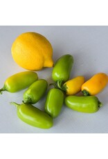Baker Creek Seeds Pepper, Lemon Spice Jalapeno