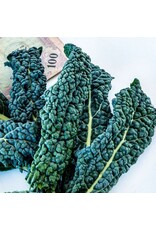 Baker Creek Seeds Kale, Nero Di Toscana