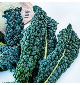 Baker Creek Seeds Kale, Nero Di Toscana