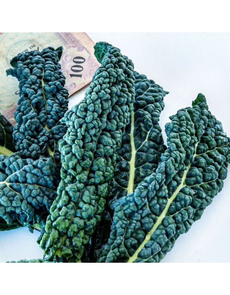 Baker Creek Seeds Kale, Nero Di Toscana