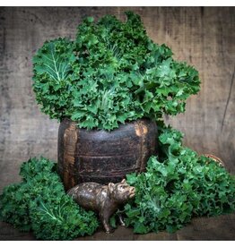 Baker Creek Seeds Kale,Dwarf Siberian