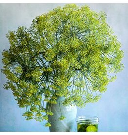 Baker Creek Seeds Dill, Bouquet