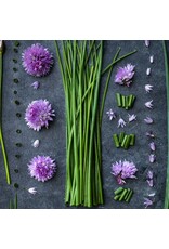 Baker Creek Seeds Chives, Common