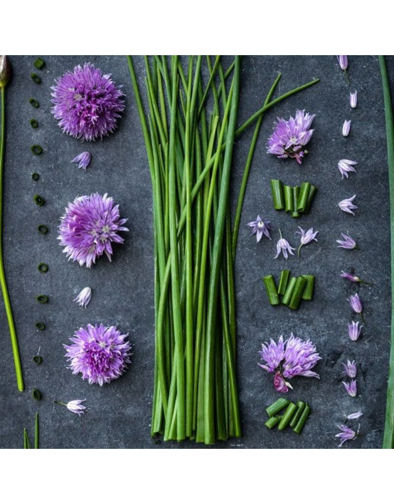 Baker Creek Seeds Chives, Common