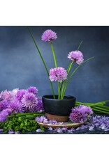 Baker Creek Seeds Chives, Common