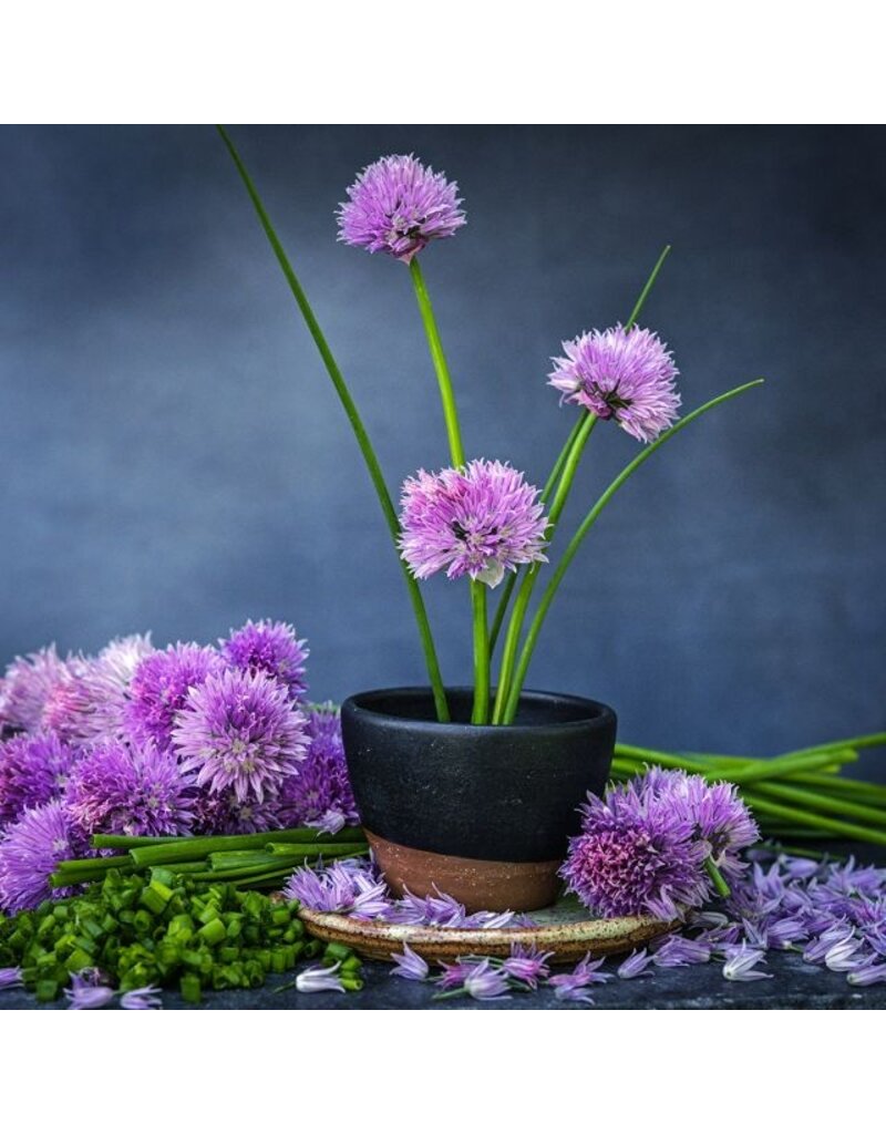 Baker Creek Seeds Chives, Common
