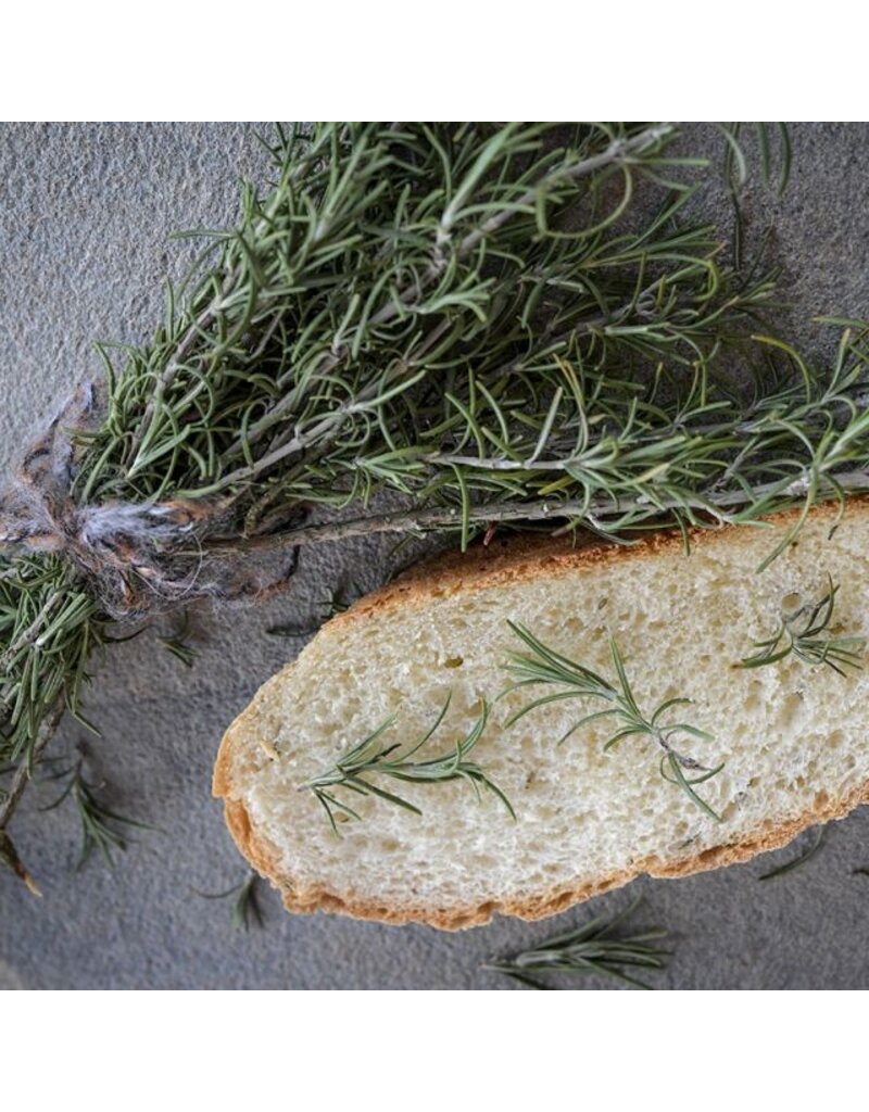 Baker Creek Seeds Rosemary, Rosy
