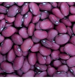 Seed Saver's Exchange Bean, Hidatsa Red