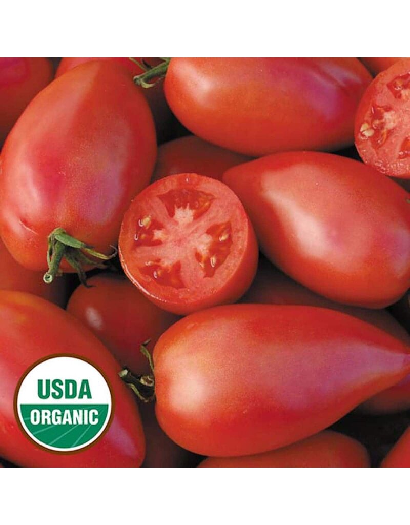 Seed Saver's Exchange Tomato, Sheboygan (organic)