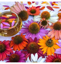 Baker Creek Seeds Echinacea, Paradiso Mix