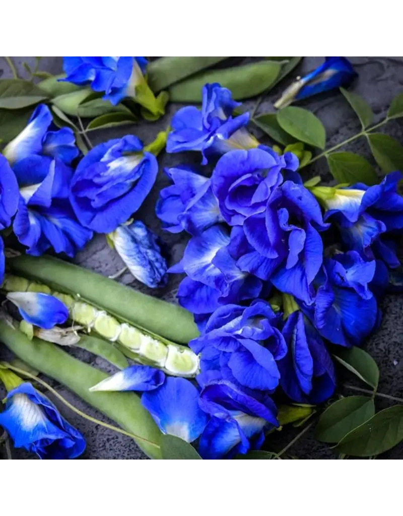Baker Creek Seeds Butterfly Pea Seeds, Blue Queen