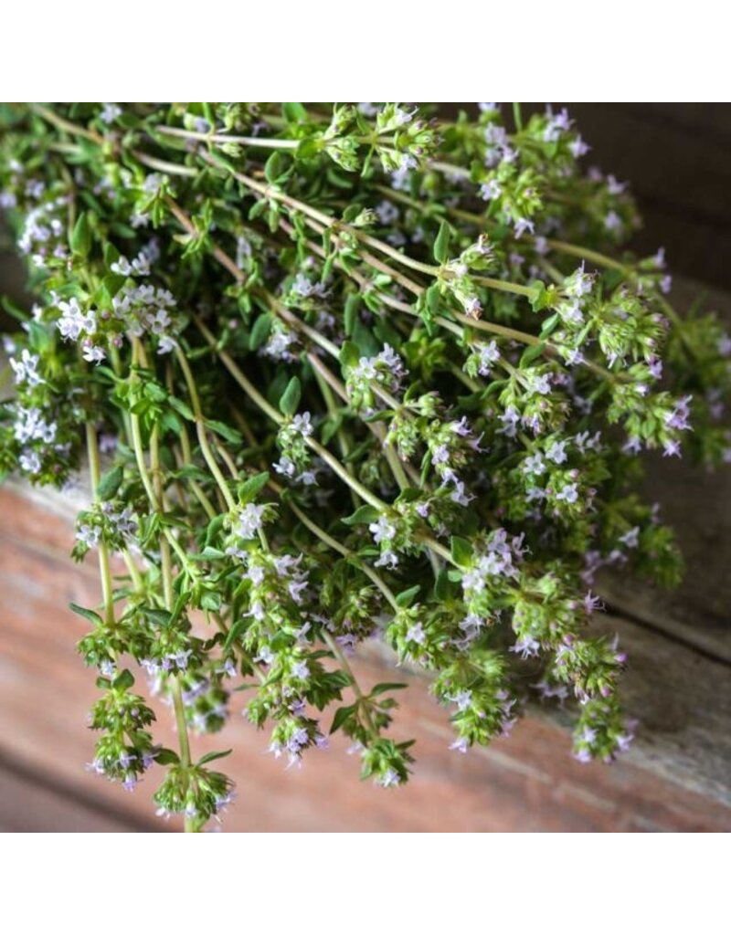Baker Creek Seeds Thyme, Common
