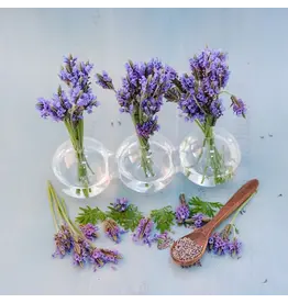 Baker Creek Seeds Lavender, Torch Blue