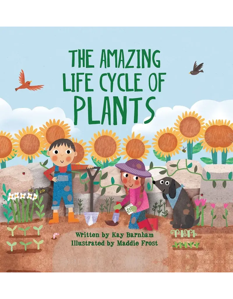 The Amazing Life Cycle of Plants