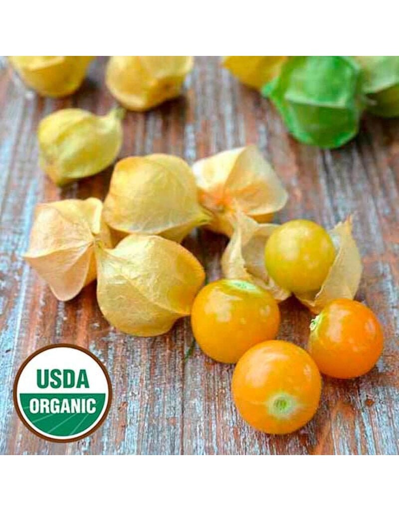 Seed Saver's Exchange Loewen Family Heirloom Ground Cherry