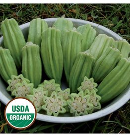 Seed Saver's Exchange Star of David Okra (organic)