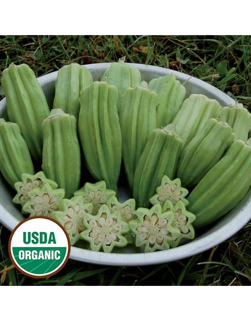 Seed Saver's Exchange Star of David Okra (organic)