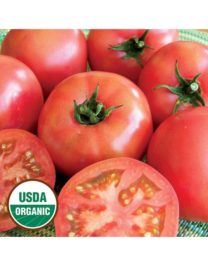 Seed Saver's Exchange Trucker's Favorite Tomato