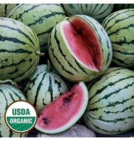 Seed Saver's Exchange Chris Cross Watermelon