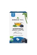 miracle tree Moringa tea - Organic Blueberry