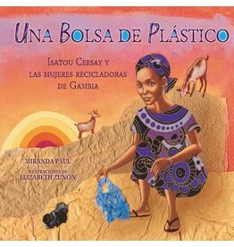 Una bolsa de plastico (One Plastic Bag in Spanish)