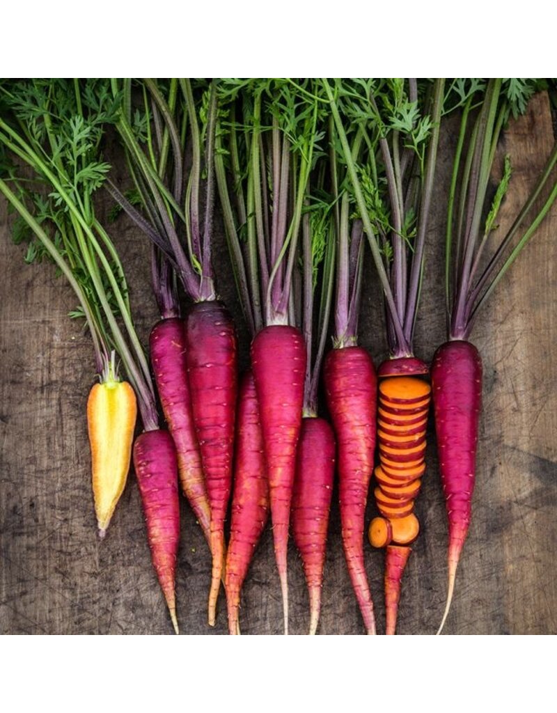 Baker Creek Seeds Carrot, Purple Dragon