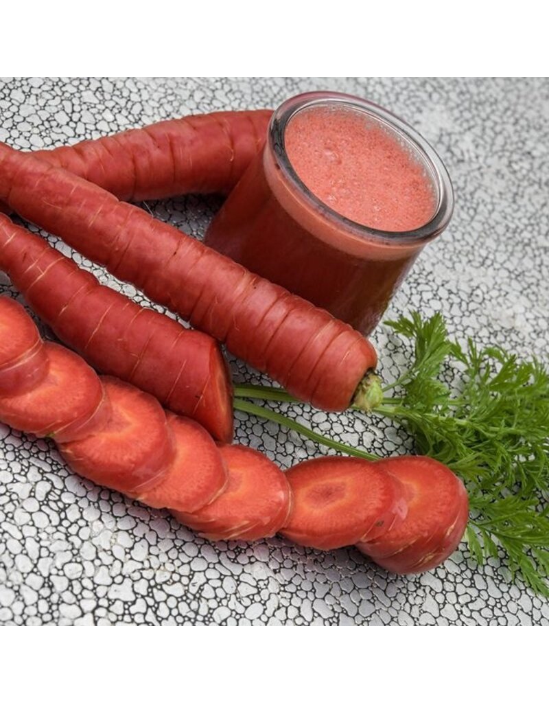 Baker Creek Seeds Carrot, Kyoto Red