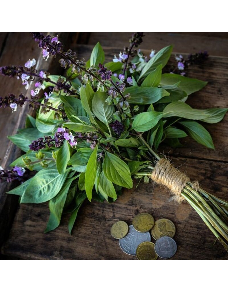 Baker Creek Seeds Basil, Thai Sweet