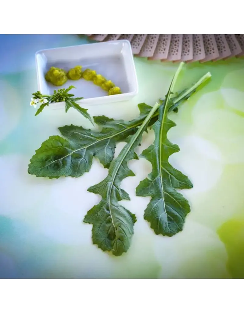 Baker Creek Seeds Arugula, Wasabi