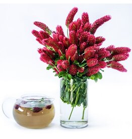 Baker Creek Seeds Clover Seed, Crimson