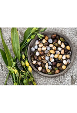 Baker Creek Seeds Herb, Job's Tears