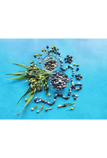 Baker Creek Seeds Herb, Job's Tears