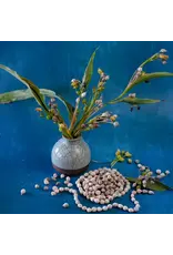 Baker Creek Seeds Herb, Job's Tears
