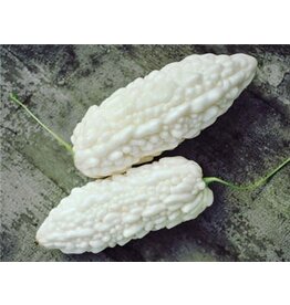 Baker Creek Seeds Bitter Melon, Jyunpaku Okinawan Pure White
