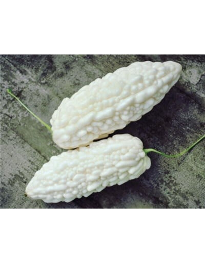 Baker Creek Seeds Bitter Melon, Jyunpaku Okinawan Pure White